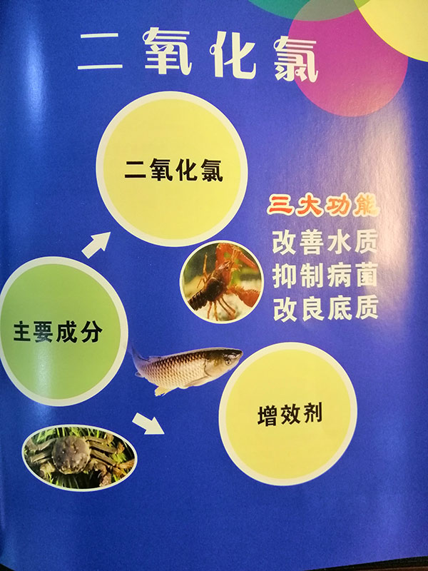 24beb1a07e19ba2bacf9195c43e4123.jpg